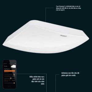 Steinel True Presence® – Cảm biến hiện diện chính xác tuyệt đối